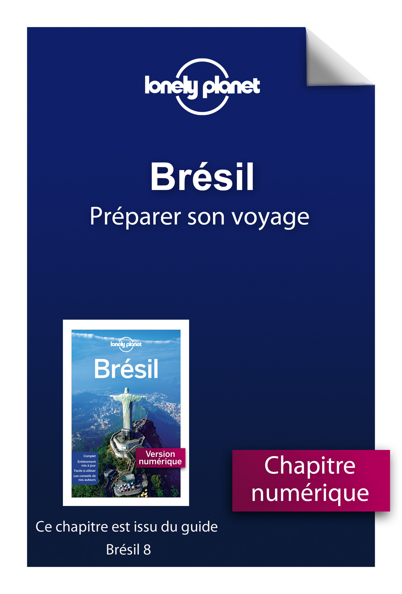 Brésil 8 - Préparer son voyage