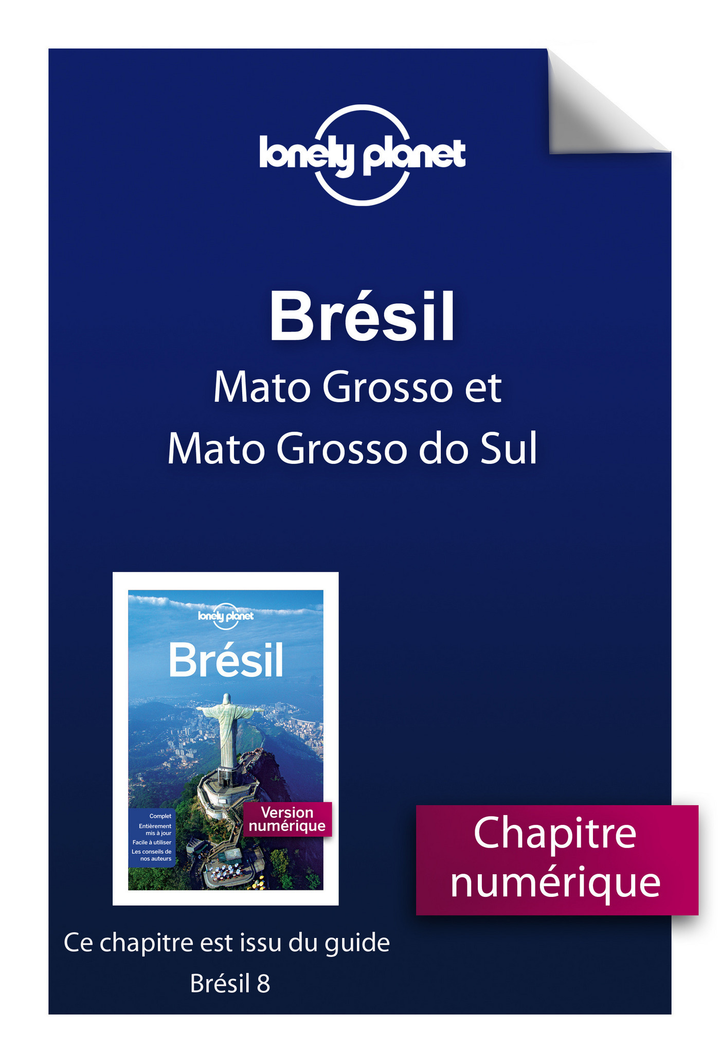 Brésil 8 - Mato Grosso et Mato Grosso do Sul