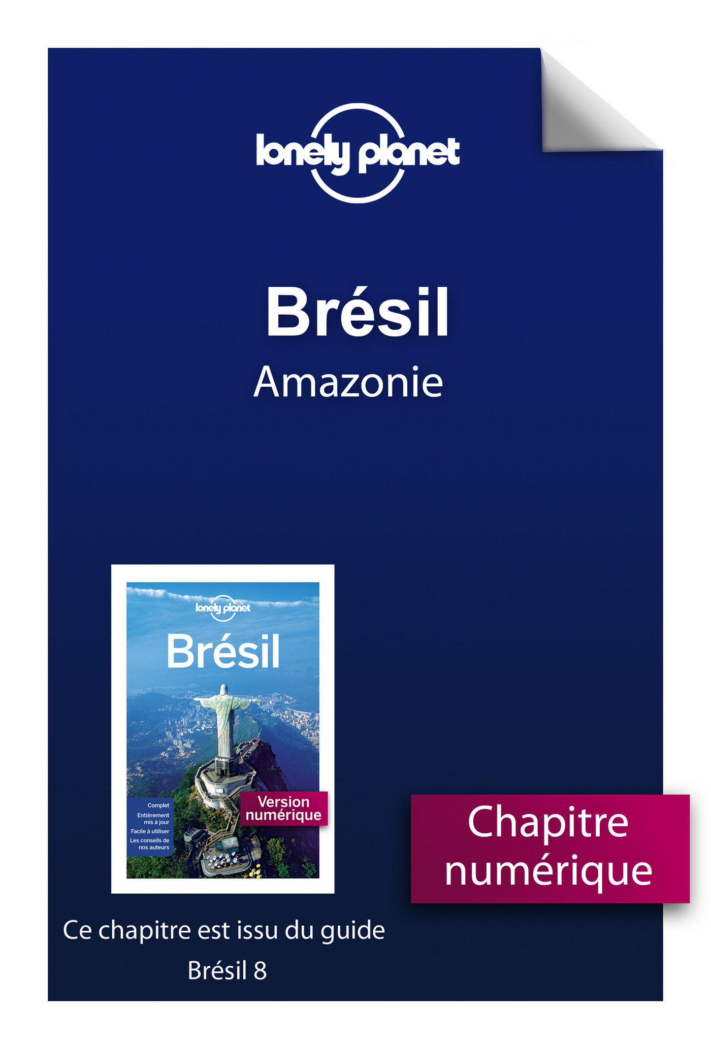 Brésil 8 - Amazonie