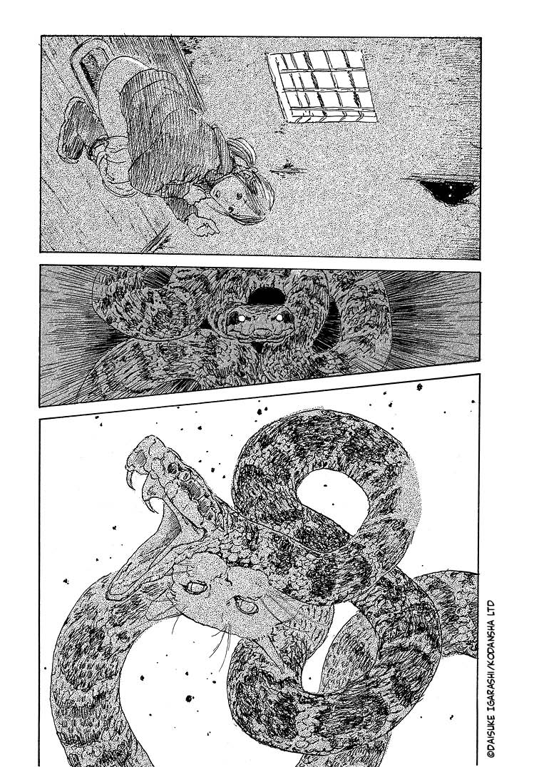 Kamakura Bakeneko Club - Tome 1