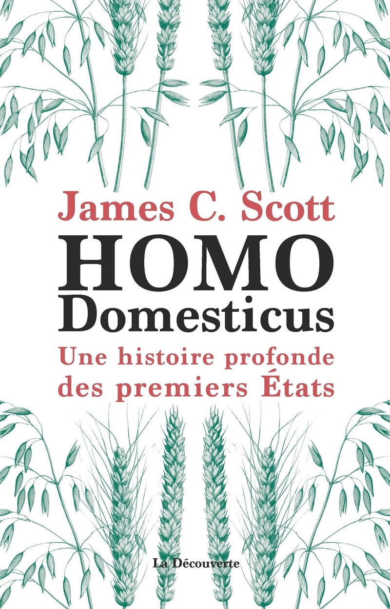 Homo Domesticus 