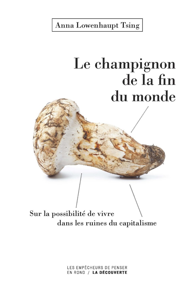 Le champignon de la fin du monde - Anna Lowenhaupt Tsing - Éditions La  Découverte