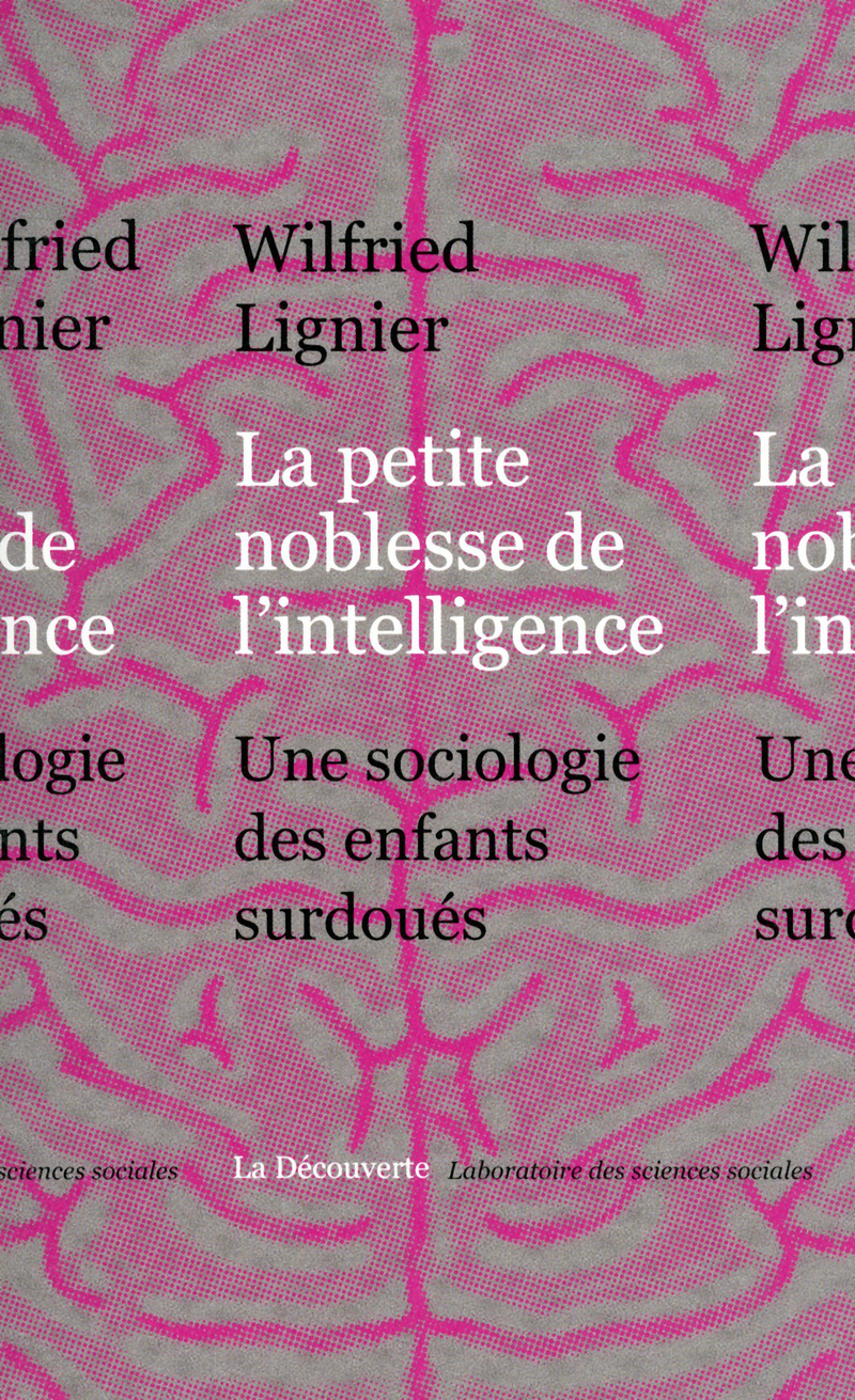 La petite noblesse de l'intelligence - Wilfried Lignier
