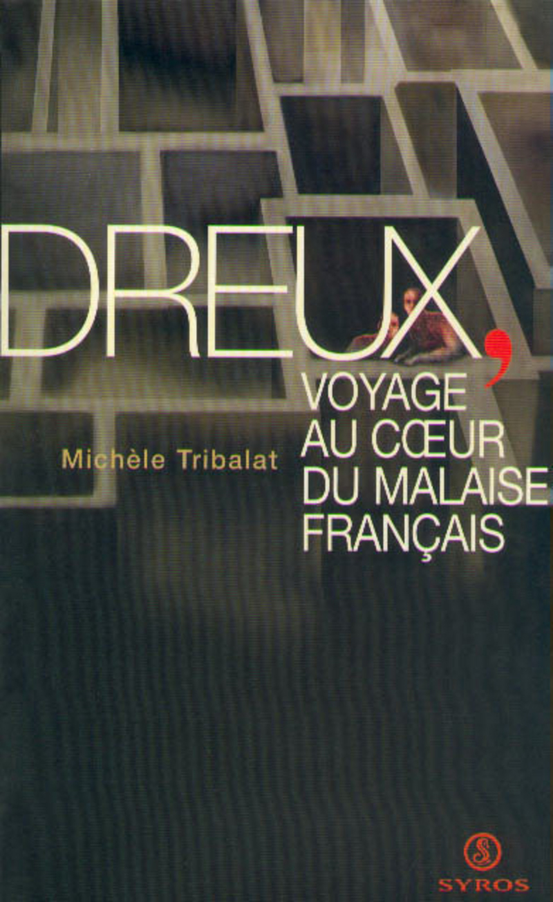 Dreux, voyage au coeur du malaise français - Michèle Tribalat