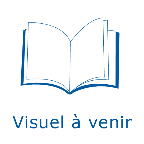 Histoire de la société chinoise 