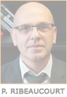 Patrice Ribeaucourt, Directeur des systèmes d'informations